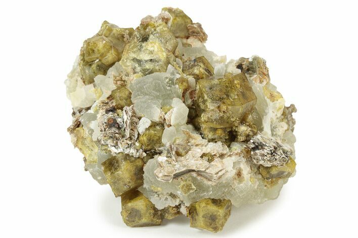 Yellow Andradite-Grossular Garnet Cluster with Prehnite - Mali #242495